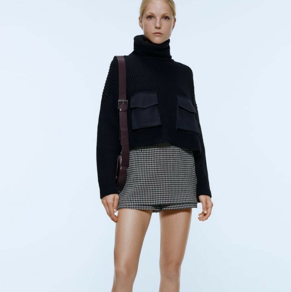 Zara Skirt Shorts